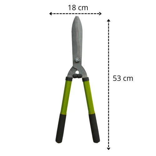 5274.jpg