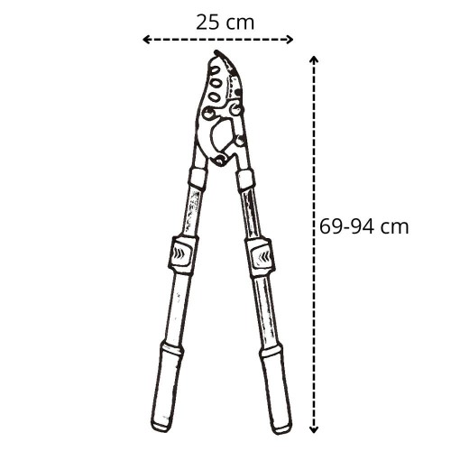 5284.jpg