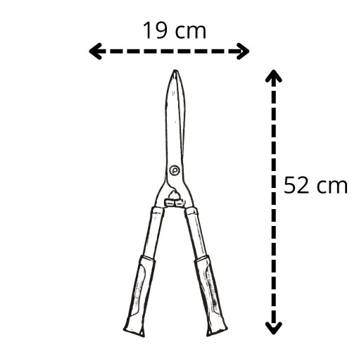 5397.jpg