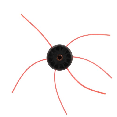 5601.jpg