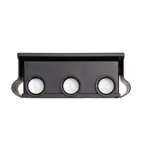 6131.jpg