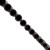 1868cbd38c1acaeacc25f12dd90319a3